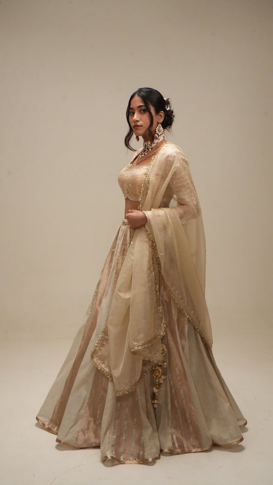 Champagne Gold Paneled Lehenga Set
