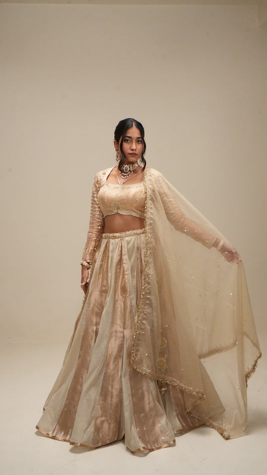 Champagne Gold Paneled Lehenga Set